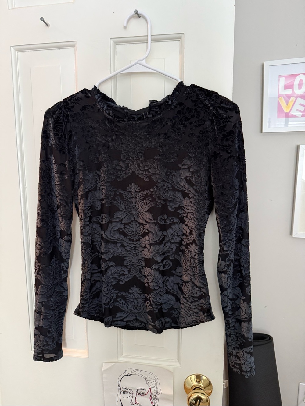 Anthropologie Black Burnout Velvet Floral-Pattern Long Sleeve Top